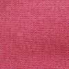 Peony (пионы) цвет пиона - розовый ненасыщенный