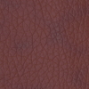 Cinnamon (синамон) пятнистый коричневый