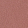 Cocoa (какао) какао